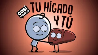 Tu hígado y tú | Casi Creativo