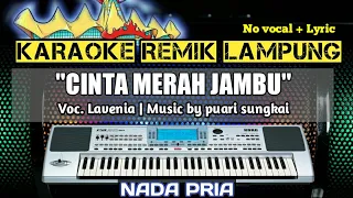 CINTA MERAH JAMBU - LAVENIA - KARAOKE REMIK LAMPUNG - NO VOCAL