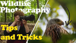 Wildlife Photography Tips For Beginners (I Wish I Learnt Sooner!)