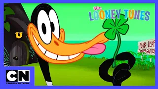 New Looney Tunes | Das Glück der Iren | Cartoon Network