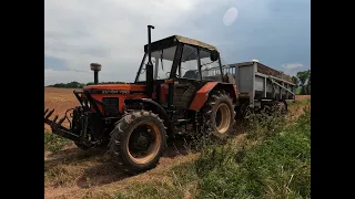 Farmařův VLOG 33# Odvoz pšenice s Zetor 7245 Horal System STS Opava