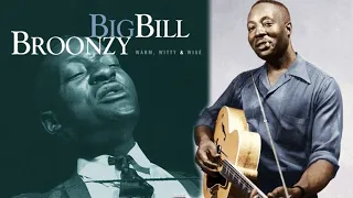 The Life and Tragic Ending of Big Bill Broonzy