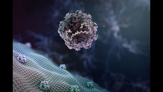 A gene therapy platform for treating diseases