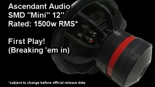 Breaking In an SMD Mini 12" Subwoofer - 1000 Watts UNDERpowered - First real play