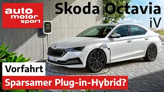 Skoda Octavia iV: Ist der Plug-in-Hybrid wirklich sparsam? – Fahrbericht/Review | auto motor sport