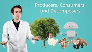 Producers, Consumers, and Decomposers - General Science for Kids!