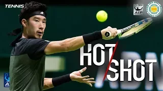 Hot Shot: Sugita Delivers Drop Shot Against Dimitrov Rotterdam 2018