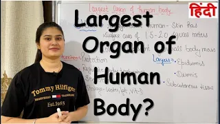 Largest Organ of Human Body? | RajNEET Medical Education