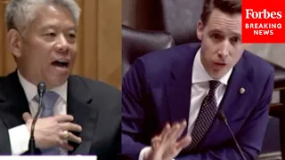 "That's Not Complicated": Josh Hawley Clashes With Biden Nom On Child Trafficking Across Border