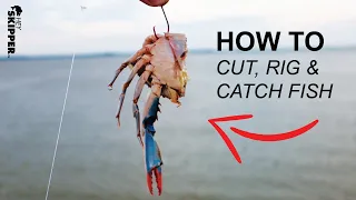 This bait catches SO MANY FISH! Pier/ Bridge Fishing w/ LIVE CRABS