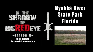 Bigfoot Research Expedition in Myakka River State Park, FL- Skunk Ape In the Shadow of Big Red Eye