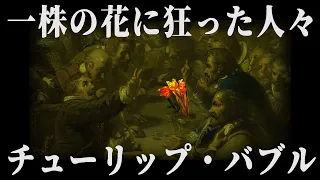 【ゆっくり解説】金持ちも買えなかったチューリップの話【歴史解説】