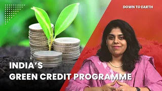 What is the Green Credit program?