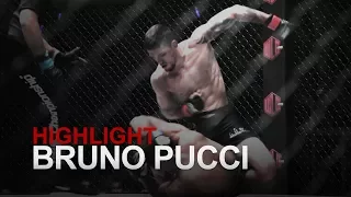 BJJ World Champion Bruno Pucci Highlight Video | EVOLVE Fight Team