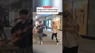 Busking cat gives the perfect meow