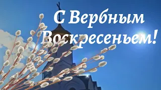 С Вербным Воскресеньем! Пусть веточки вербы подарят вам здоровье и счастье! Музыкальная открытка