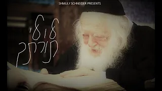 Shmuly Schneider - Lulei Sorascha - R' Chaim Kanievsky zt’l  |  שמולי שניידער - לולי תורתך