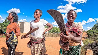 Aventura na África: Recolhendo Lenha com Amigas