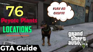 GTA 5 Online - All Peyote Plants Locations  (Play as an Animal GTA V Online) **Easiest Way**