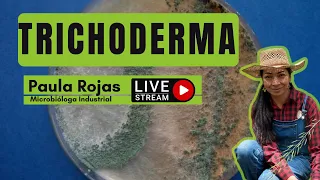 Trichoderma