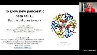 To Grow New Pancreatic Beta Cells... Put the Old Ones to Work