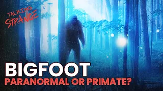 'Paranormal Bigfoot' Doc Explores Cloaking Cryptid & Supernatural Sightings | Talking Strange