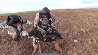 Perro paracaidista del ejercito español