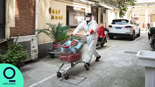 Securing Food During Shanghai's Lockdown