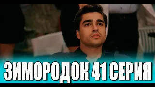 Зимородок 41 серия на русском языке. Новый турецкий сериал