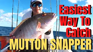 How To Catch MUTTON SNAPPER the easiest way RIG, BAIT, DRIFT FISHING BASICS & TACTICS