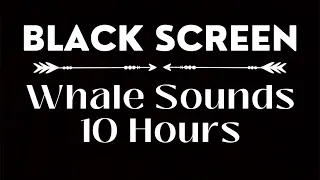 Underwater Whale Sounds | Sounds for Sleeping | 10 Hours Black Screen