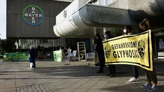 Weltbiodiversitätstag: Protestaktionen gegen das Artensterben