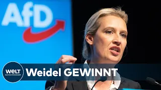 BADEN-WÜRTTEMBERG: Kampfabstimmung - Alice Weidel ist neue AfD-Landesvorsitzende