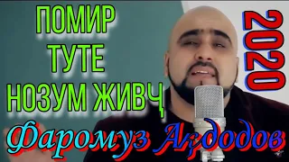 Фаромуз Акдодов - Помир 2020 (Video)