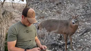 We Got COVID!! | Mapping Whitetails in Kansas | Warm, Slow Rut Action in Big Deer Country