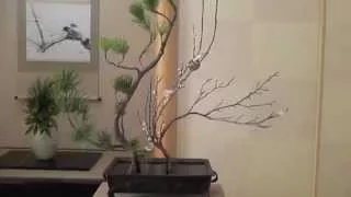 How to make an authentic Ikebana 2 いけばな華道遠州