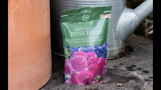 How to Feed Your Roses by David Austin Roses