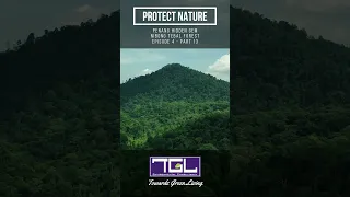 Protect Nature - Malaysia - Penang Hidden Gem - Nibong Tebal Forest - Ep4 - Part 13