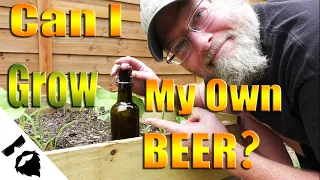 How to Grow BARLEY & CORN for BEER & WHISKEY GARDEN