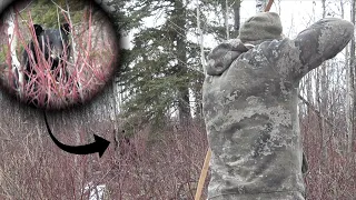 Tracking down a Black Bear in the SNOW!! - LONG BOW HUNTING