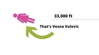 Vesna Vulovic - The Woman That Fell 33,000 ft From The Sky