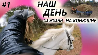 Один день из жизни В КОНЮШНЕ | Рабочие будни | Часть 1