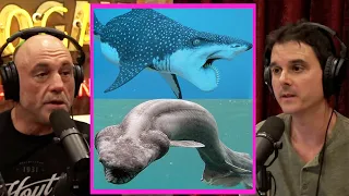 Most DANGEROUS Fish Species! | Joe Rogan & Brian Muraresku