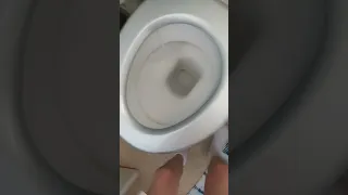 teaching men's how to clean the toilet after there self