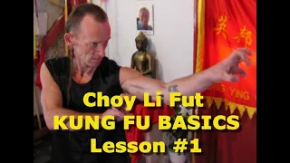 KUNG FU BASICS 蔡李佛  - LESSON ONE