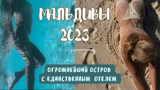 Мальдивы 2023! Кормим огромных акул! Куча развлечений и своя ферма на острове! Часть 2