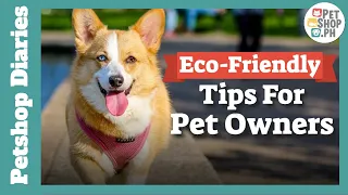 Eco Friendly Pet Owners | How To Be Eco Friendly Pet Owners? | Petshop.PH