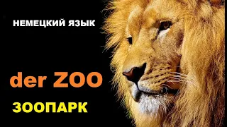 НЕМЕЦКИЕ СЛОВА И ФРАЗЫ, der #ZOO, #ЗООПАРК