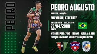 Pedro Augusto ⚽ Forward | Atacante ⚽ Highlights 2020