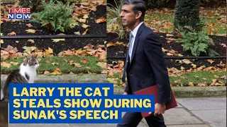 Larry The Cat Was The Star Of UK PM Rishi Sunak's First Speech